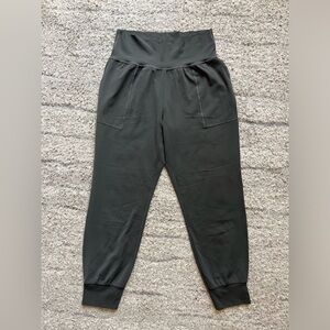 Athleta Cruise Jogger in Powervita size M